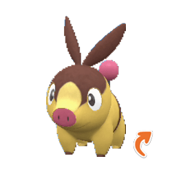 #498 Tepig (Marked)